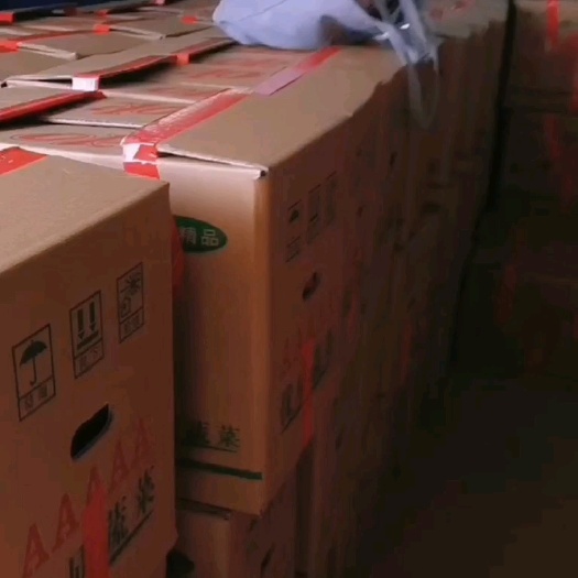 田东县一手货源，红泡椒