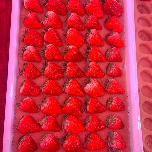 凤城市东港久久草莓