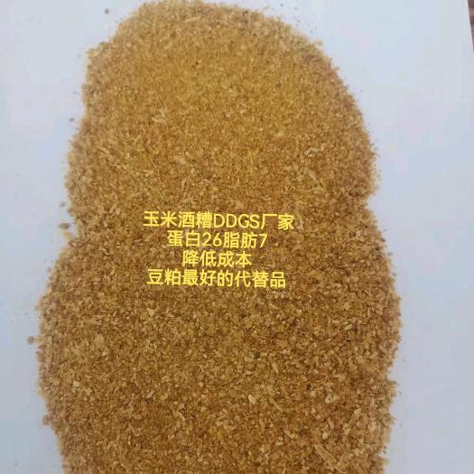 正定县玉米酒糟蛋白饲料DDGS，蛋白24-26脂肪6-8