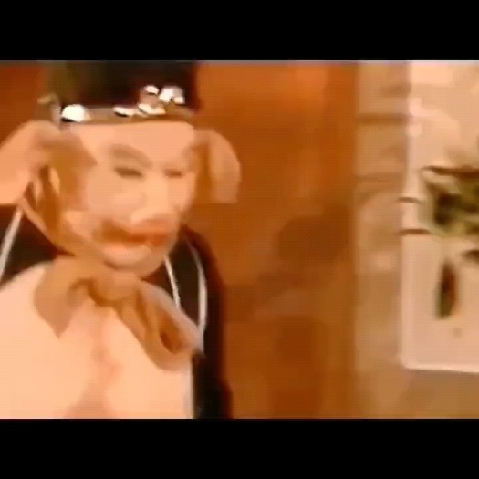 顺平县每天现场采摘草莓