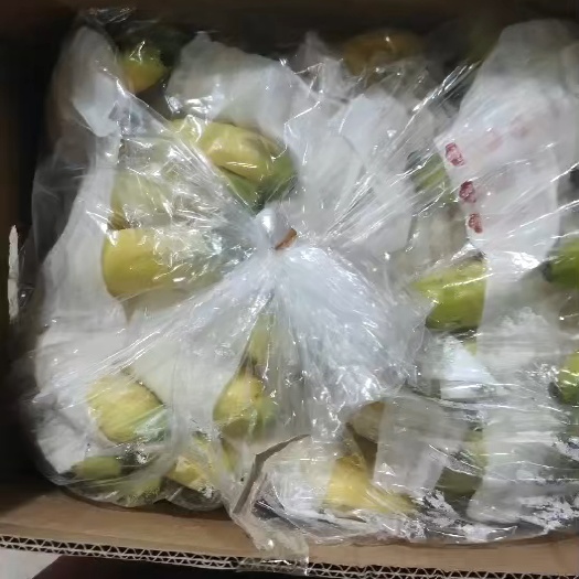 邯郸香蕉大量有货需要的老板可以联系我好货不贵