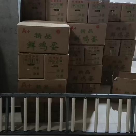馆陶县粉壳蛋