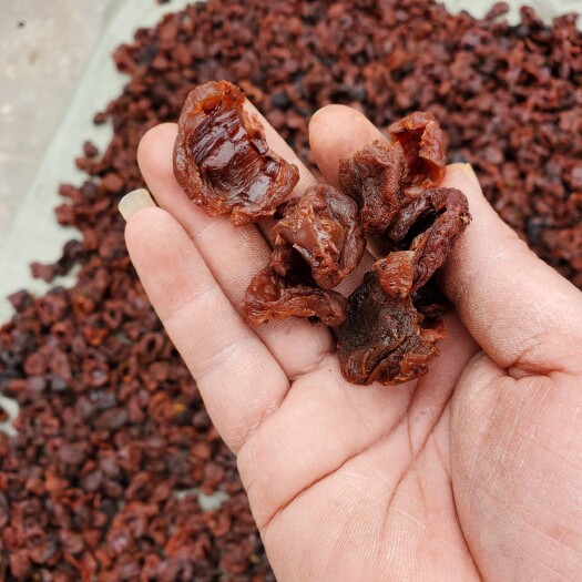 灵山县无核无壳的荔枝肉 干荔枝肉，荔枝干肉，干度够支持批发一件代发