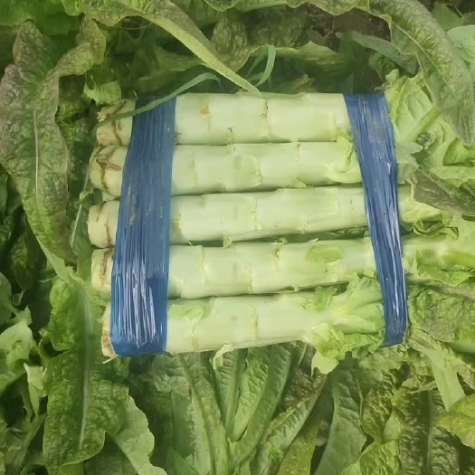 宿州大量现货，欢迎咨询。