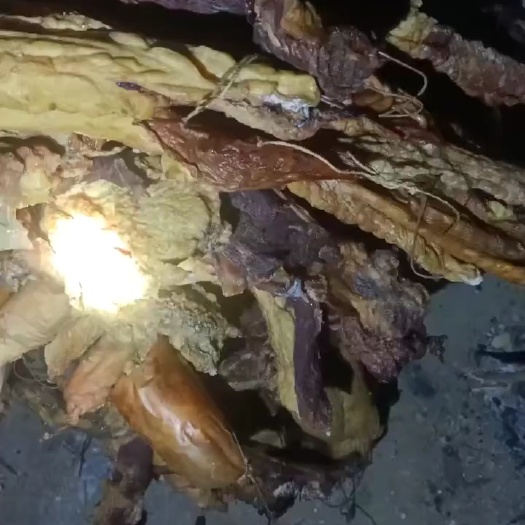 霍尔果斯新疆伊犁熏马肉熏马肠