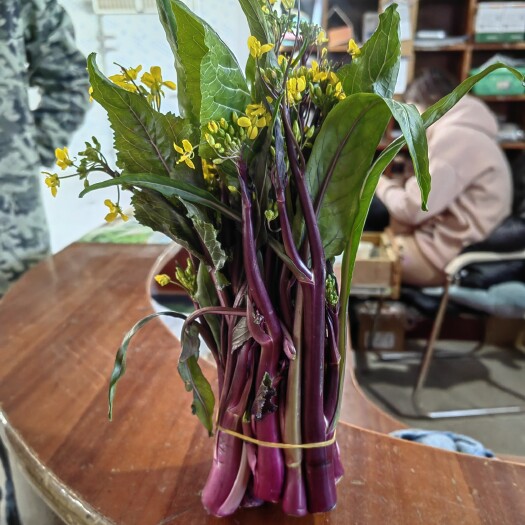 江陵县菜苔