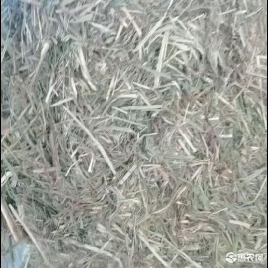 黄骅市牛羊草料批发秸秆原料
