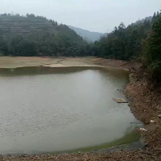 信丰县鱼塘转让