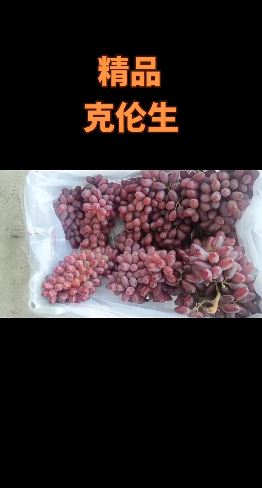 精品克伦生大量有货