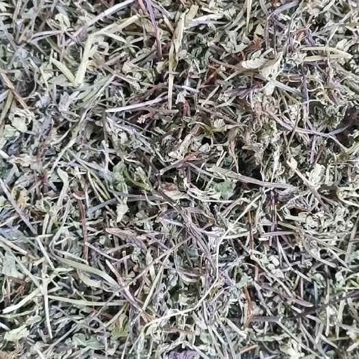 半枝莲中草药，产地代发，新鲜无硫，需要的老板欢迎下单