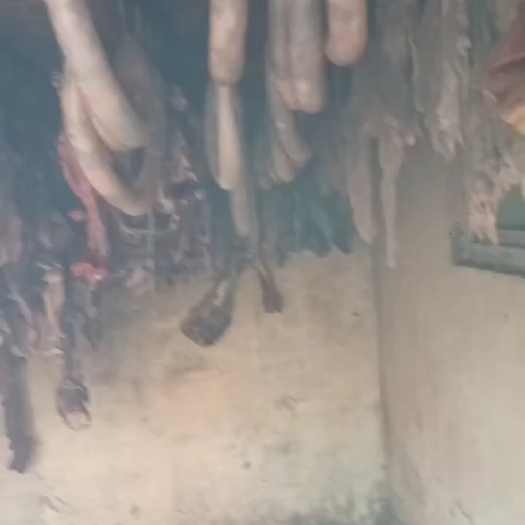 霍尔果斯新疆熏马肠