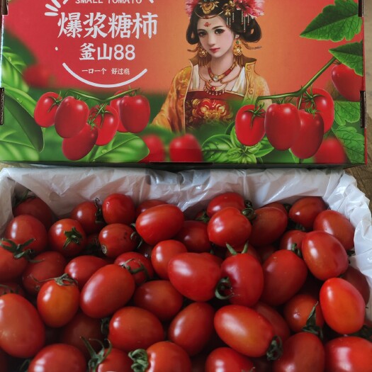 鄂州釜山88圣女果