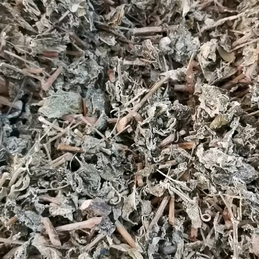 溪黄茶中药材，又叫霉茶，新鲜无硫，产地代发，价格优惠