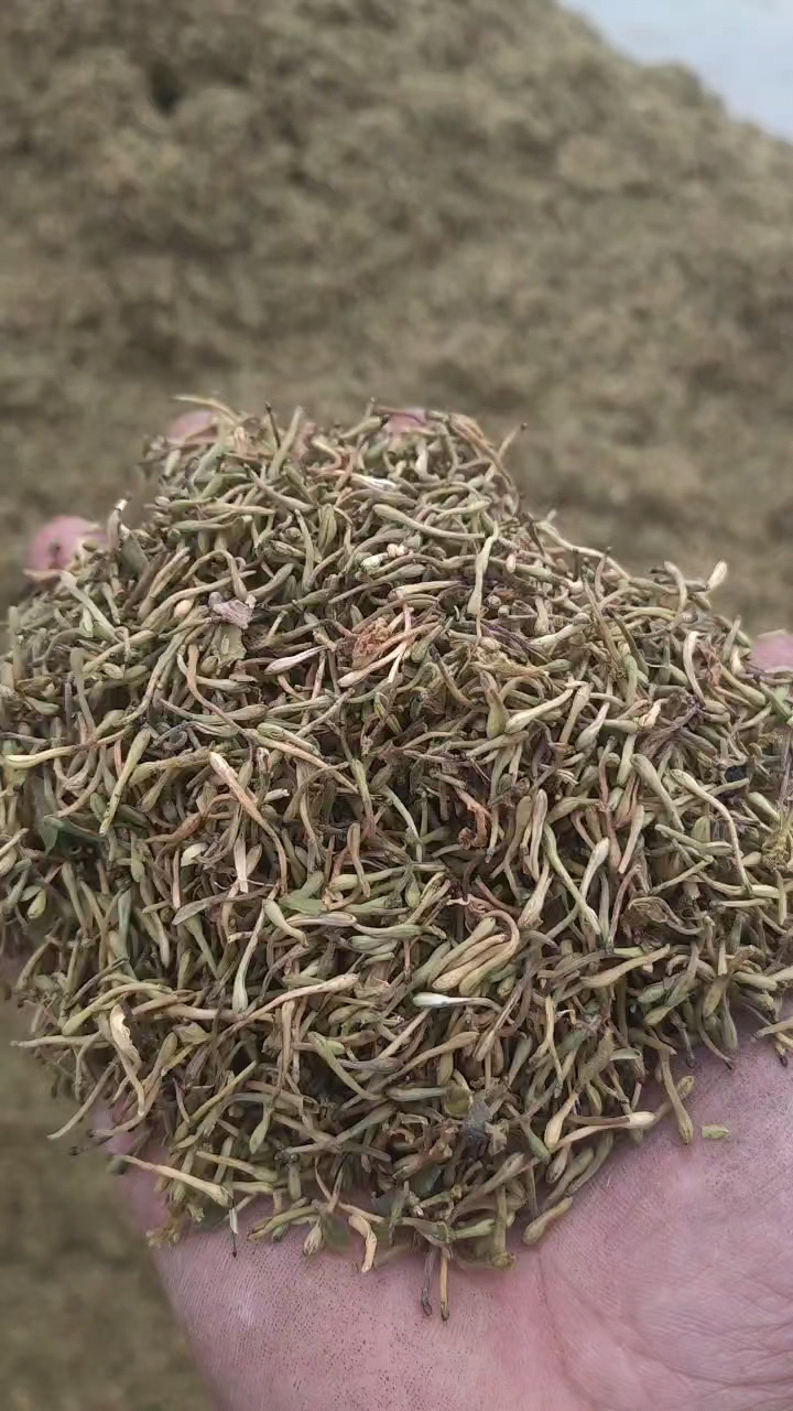 金银花花蕾通货产地直发价今年新货