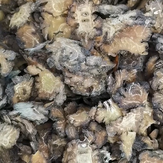 玉林川芎中药材，新鲜无硫，产地代发，欢迎各位老板前来选购