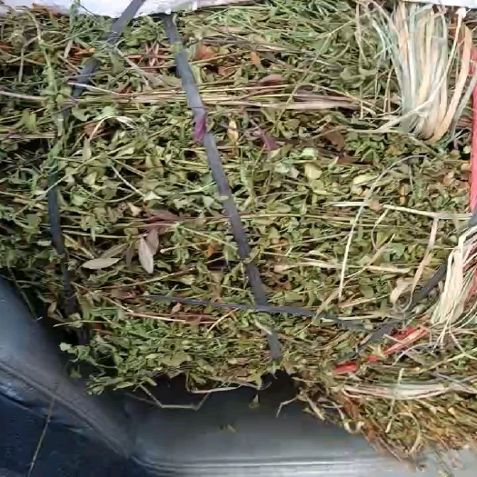 龙胆草