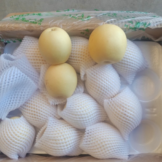 赵县精品皇冠梨海量货源