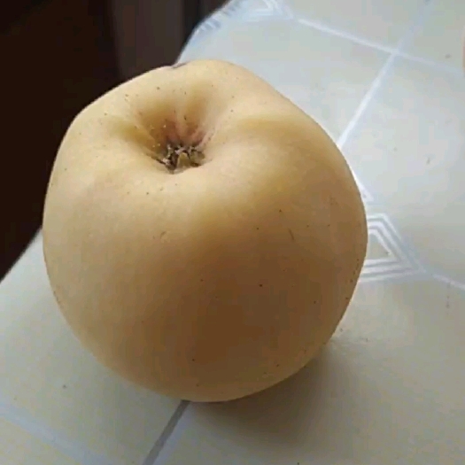 威海黄金维纳斯苹果出卖有要的联系我