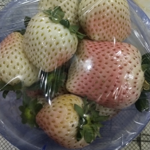 翼城县粉玉，特别甜