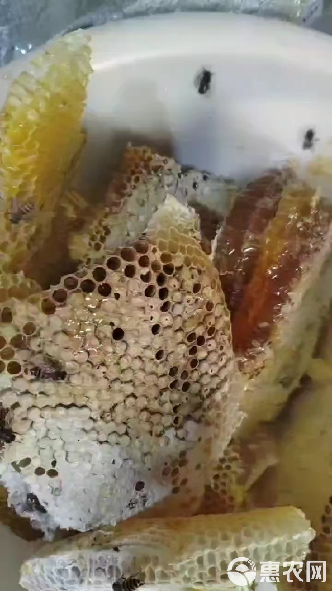春蜜-野生蜂蜜