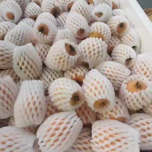 米易县枇杷