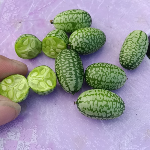 拇指西瓜