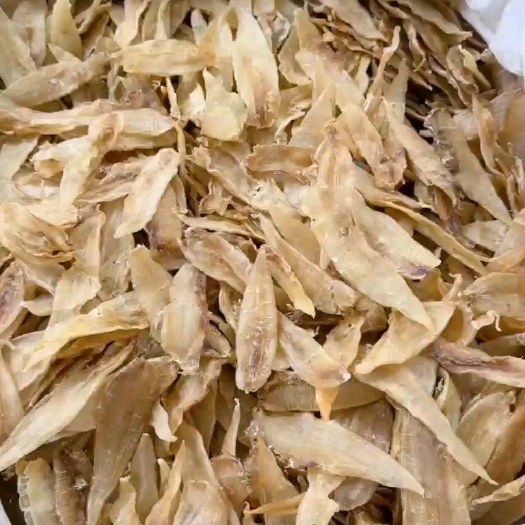 广州小金龙花胶清水原胶质量爆表性价比高