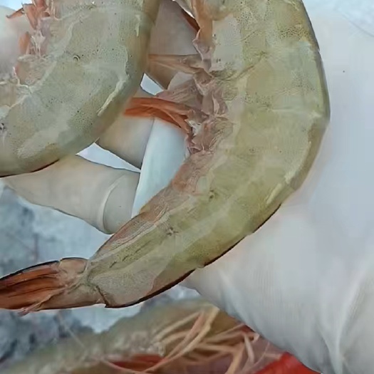 大明虾约3斤/盒