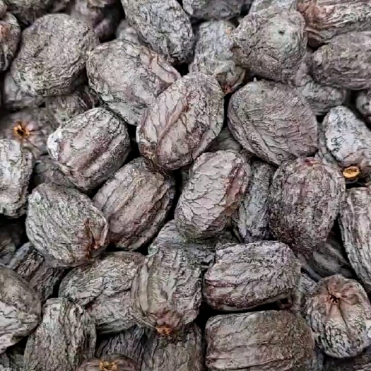 涉县太行山无核黑枣