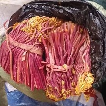 麻江县蕨菜，产地直销，常年有货，别走弯路了