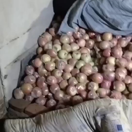 深州市产地直销大量现货