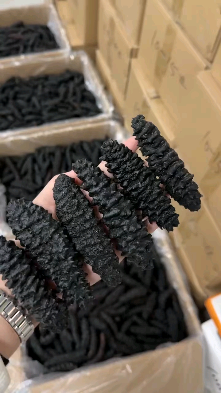 龙纹参爆款龙纹参价格便宜