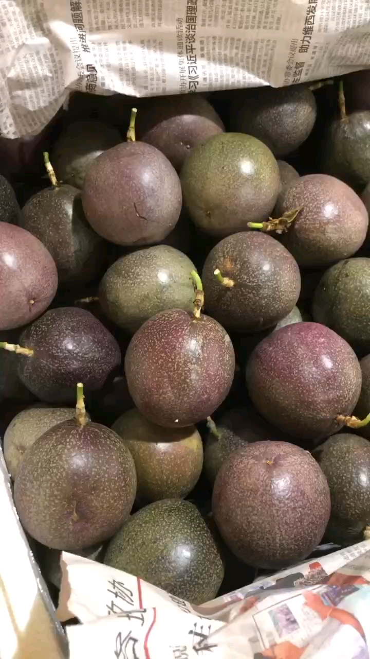 百香果金都三号百香果