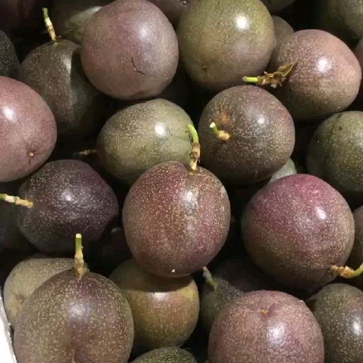 南宁百香果金都三号百香果