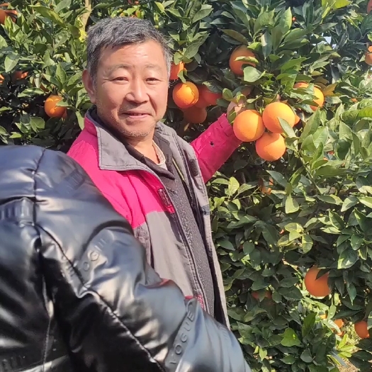 秭归县脐橙