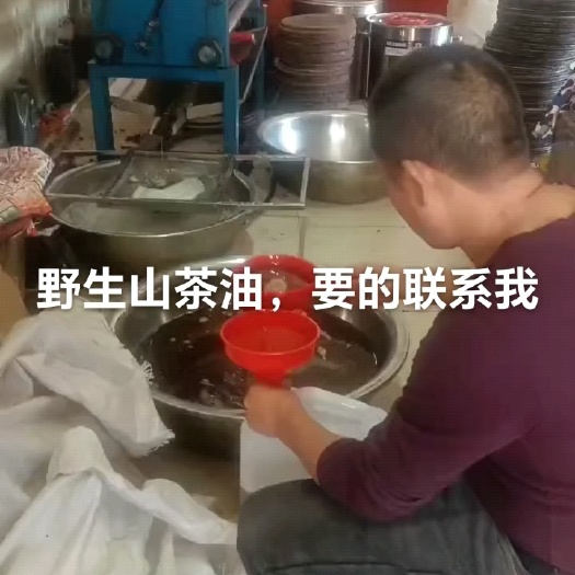 邵阳县山茶油