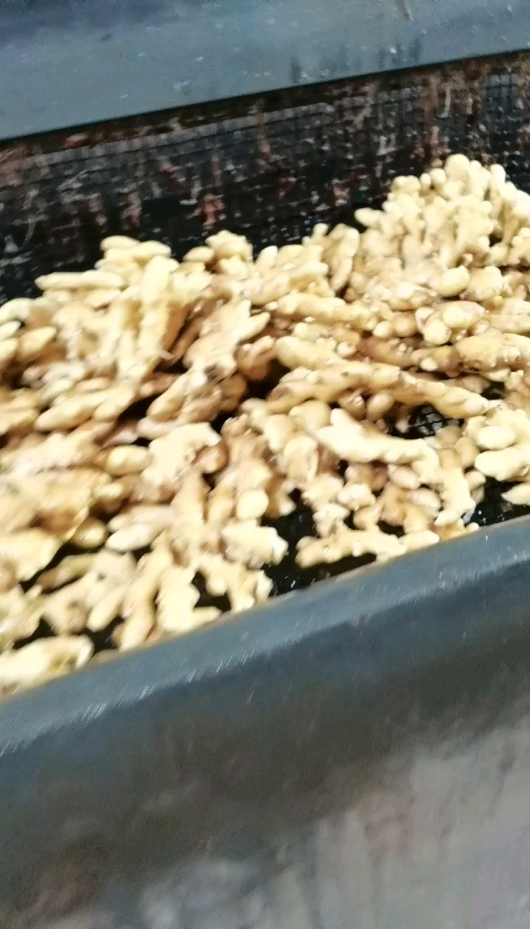 沂水县山东小黄姜产地，大黄姜，二黄姜，优质生姜批发