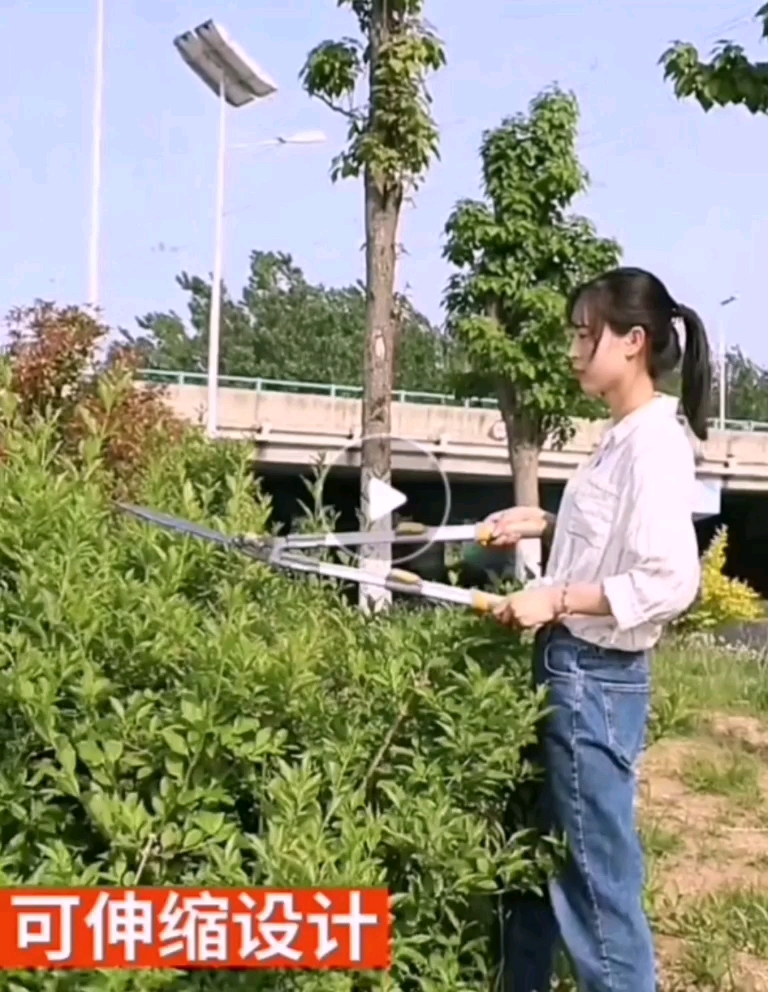 【树枝剪】果树风景树高位修枝剪不用爬树平地操作安全轻松省力