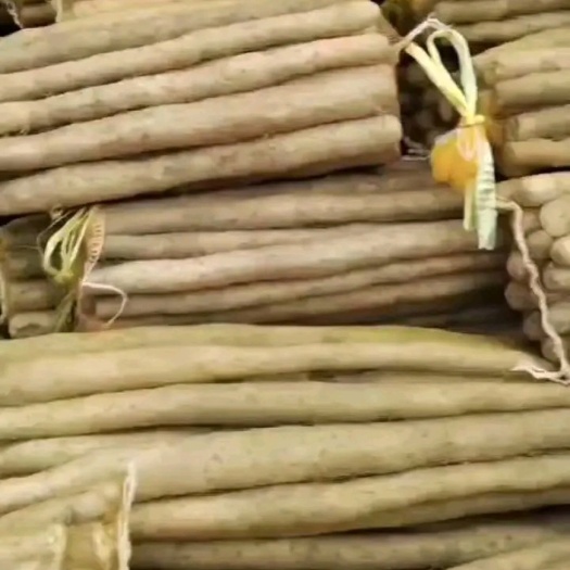 安平县精品山药（小白嘴）