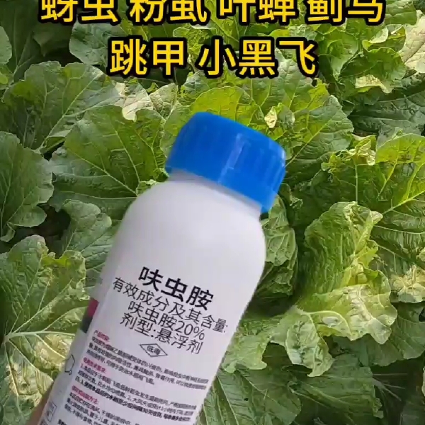 20%呋虫胺杀虫剂粉虱烟粉虱蓟马蚜虫小黑飞梨木虱等