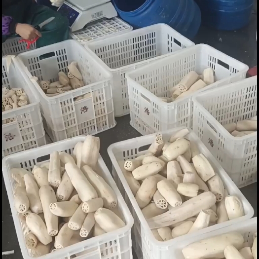 淮安藕片