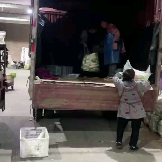 福州口碑代办白萝卜