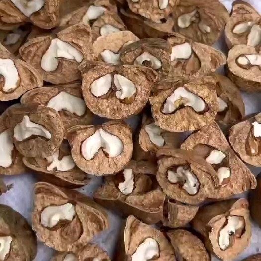 贺州贺州野生风流果
