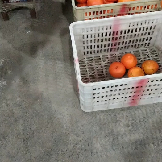 保靖县纽荷尔脐橙，大小都有，品种齐全