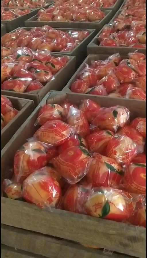 顺昌县福建精品芦柑