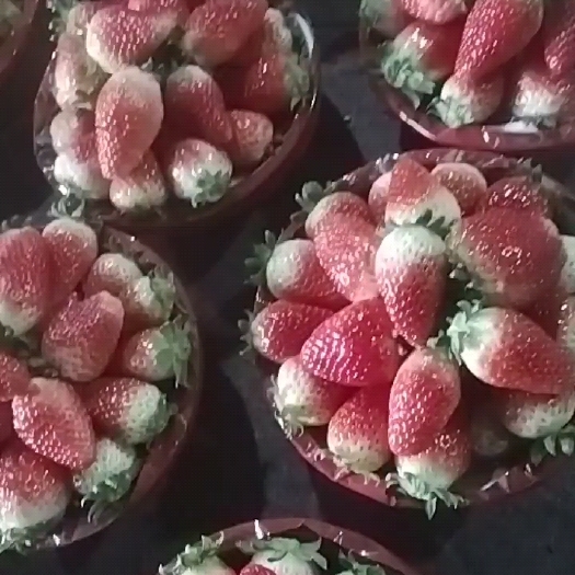 阜阳天仙醉草莓