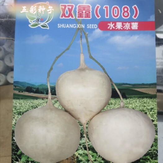 宜城市水果凉薯种子 水果地瓜种子 口感爽脆 无土腥味 现货直发