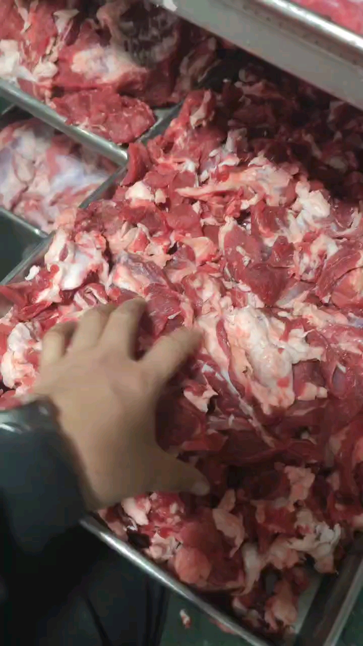 牛碎肉 精修无油 纯干无水 烧烤专用 支持批量定制厂家直销