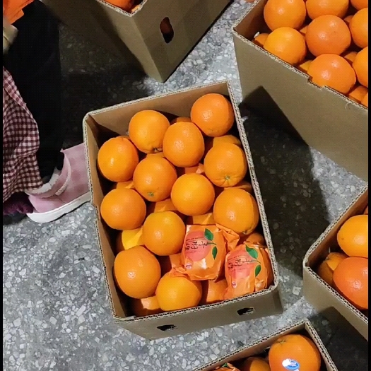 龙山县优质纽荷尔，皮薄多汁，口感甘甜，物美价廉，专业选果精品打包。
