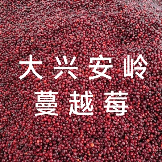沈阳大兴安岭 蔓越莓 大包装
